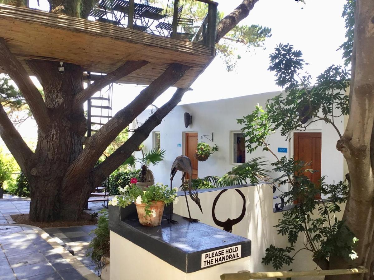 Oceangolf Guest House Noordhoek Luaran gambar