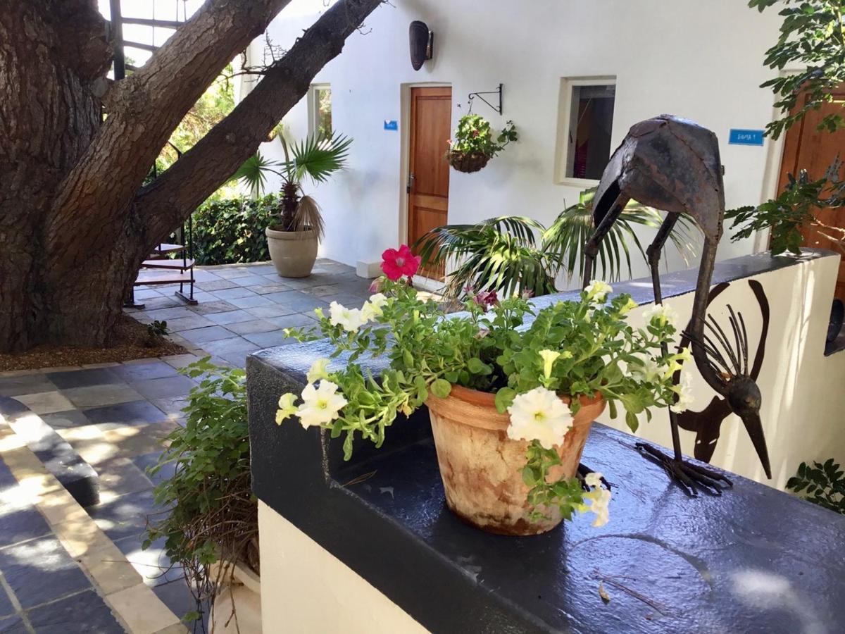 Oceangolf Guest House Noordhoek Luaran gambar