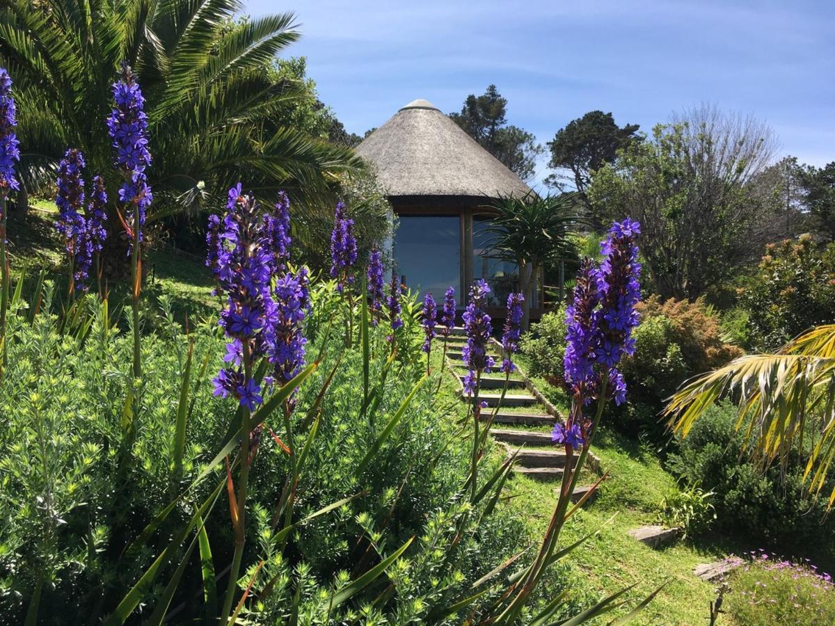 Oceangolf Guest House Noordhoek Luaran gambar