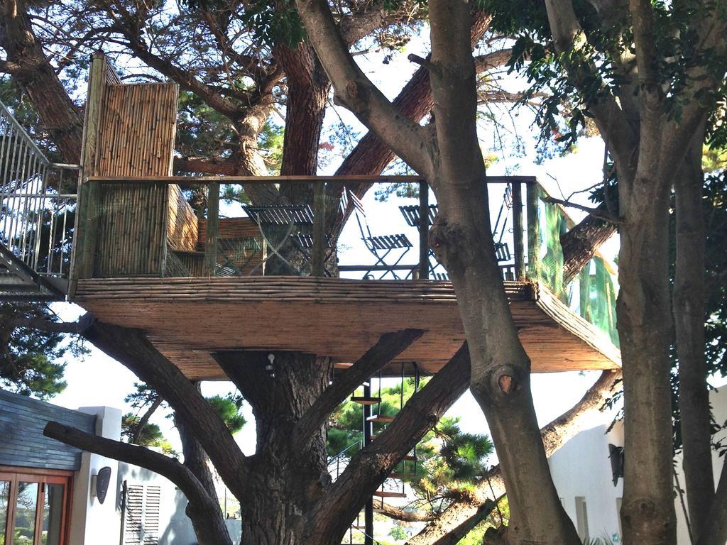 Oceangolf Guest House Noordhoek Luaran gambar
