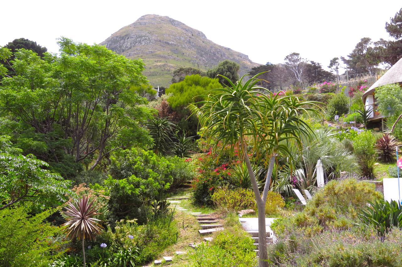 Oceangolf Guest House Noordhoek Luaran gambar